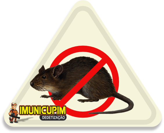 desratização dedetização de ratos imunicupim